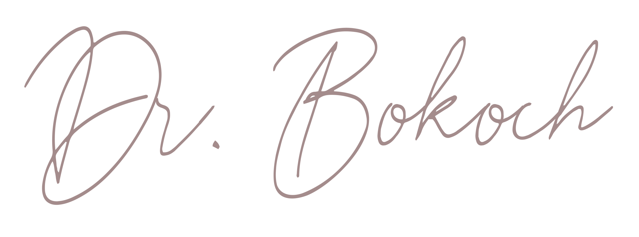 Dr. Bokoch