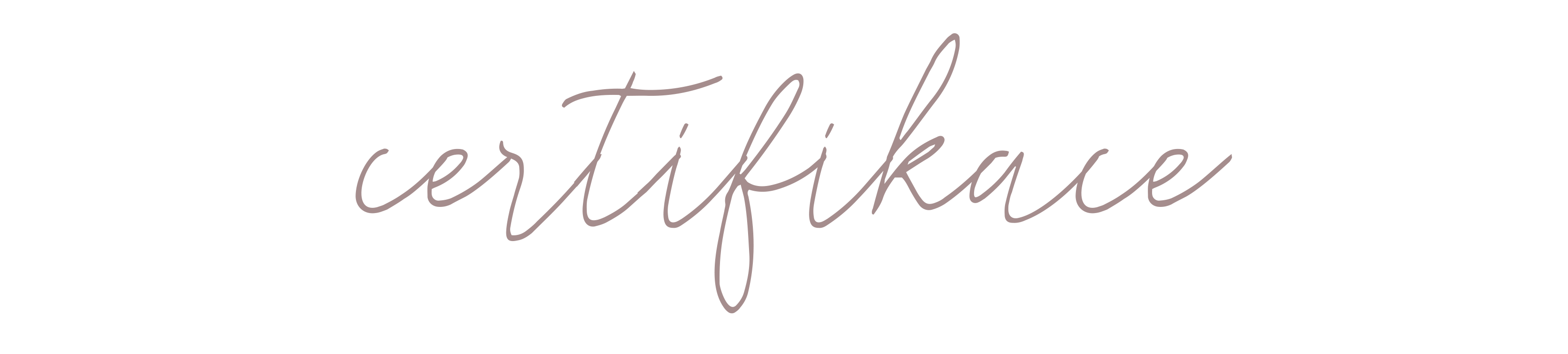 Certifikace